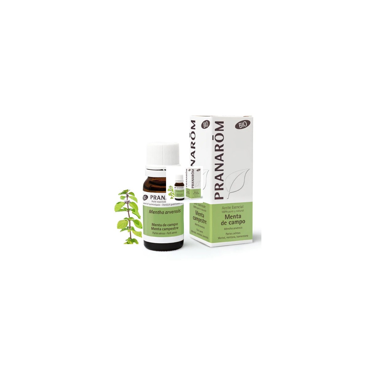 ACEITE ESENCIAL MENTA DE CAMPO 10ML PRANAROM