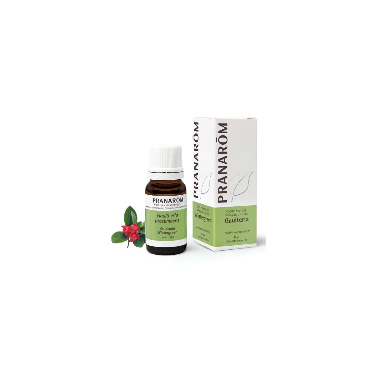 ACEITE ESENCIAL GAULTERIA 10ML PRANAROM