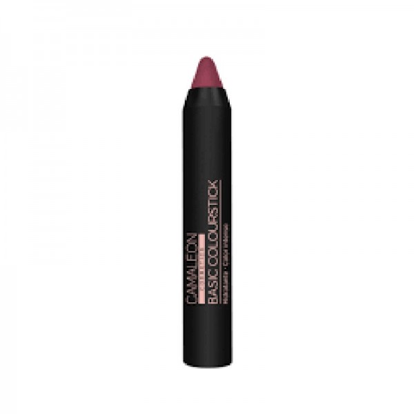 CAMALEON BASIC COLOURSTICK MARRON NUDE